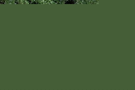 image where paint used